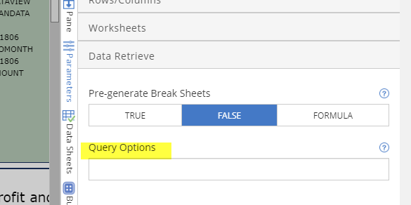 QUERY_OPTIONS – Bizview v22